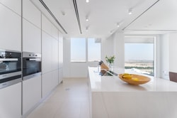 Modern Penthouse Apartment with Panoramic Views in Al Barari: Image 3