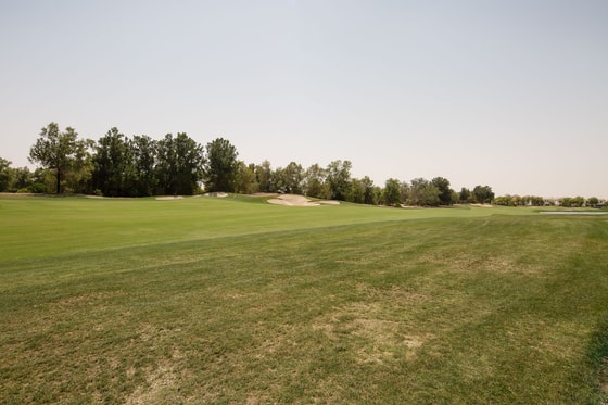Golf Facing Villa in Jumeirah Golf Estates: Image 22